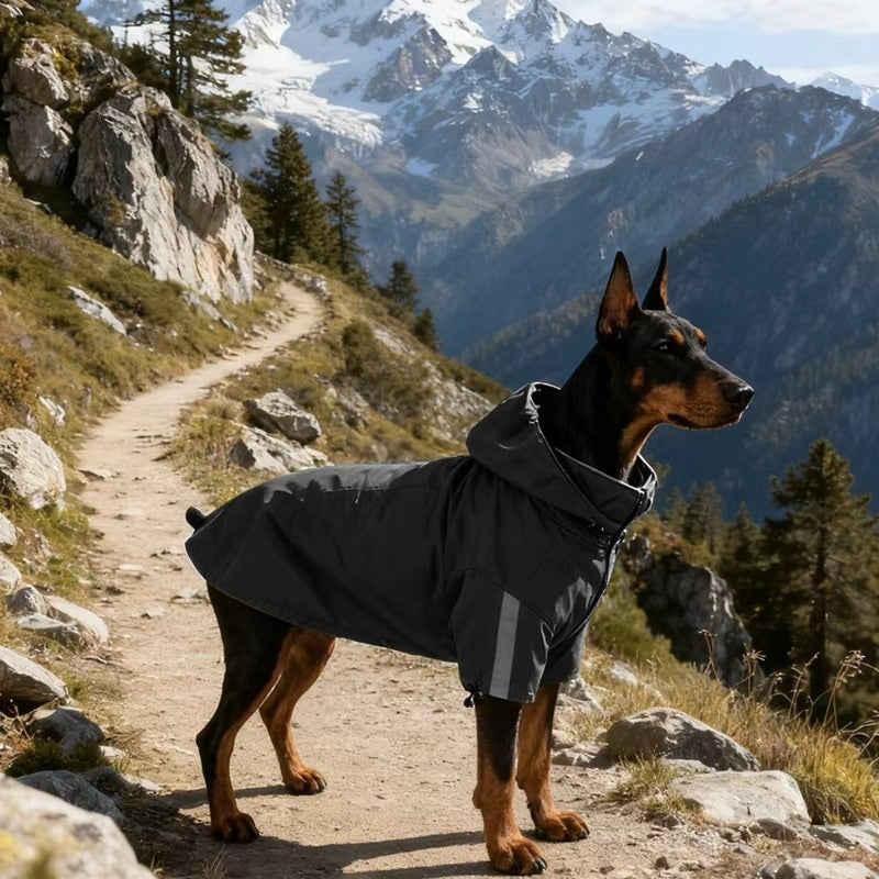 All Weather Tactical Pet Jacket For Autumn And Winter Outdoor Use