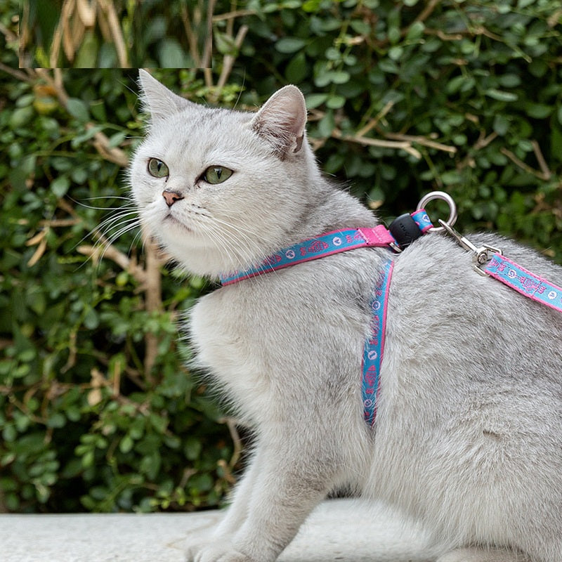 Bell Chest Strap Pet Harness Vest Leash Set