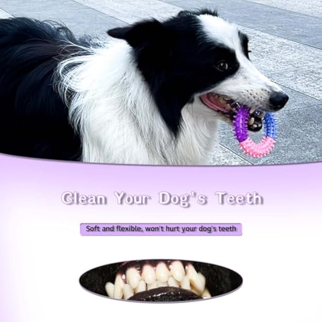 Rubber Pet Chew Ring Teething Toy For All Sizes