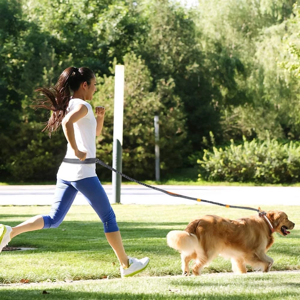 Adjustable Harness Collar Jogging Pet Walking Leash
