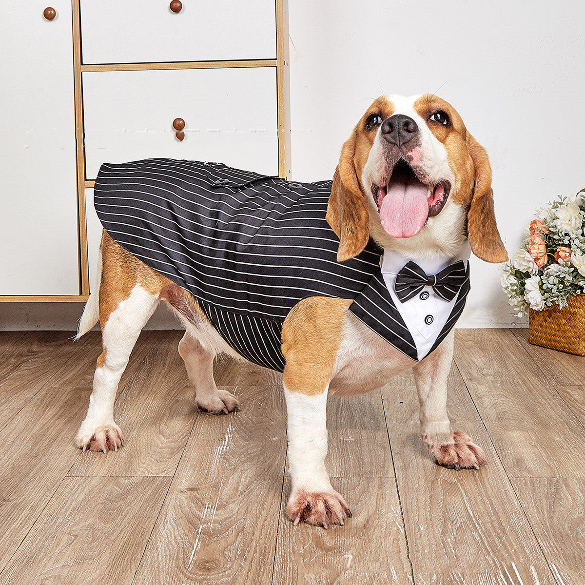 Formal Pet Wedding Suit Jacket Swallowtail Design