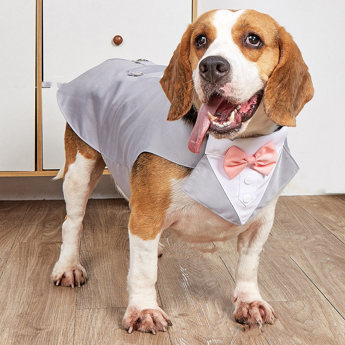 Formal Pet Wedding Suit Jacket Swallowtail Design