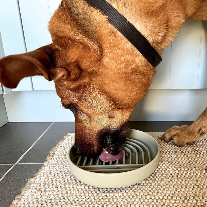 Fashion Slow Feeding Bowl Simple Pet Dining Dish