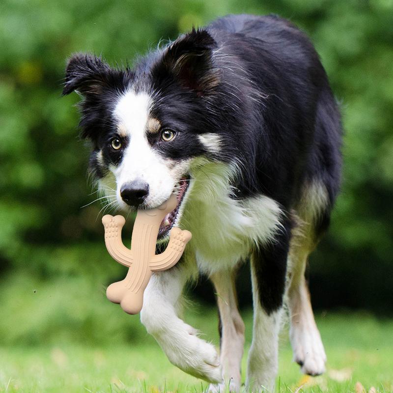 Durable Cactus Pet Chew Toy For Interactive Play