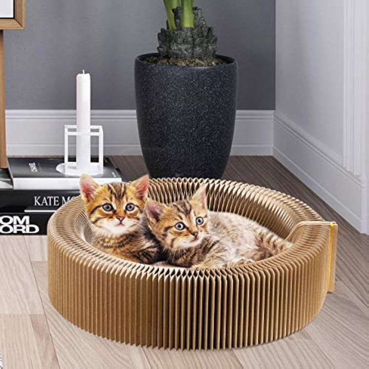 Collapsible Cardboard Pet Scratcher Lounge Bed For Indoor Use