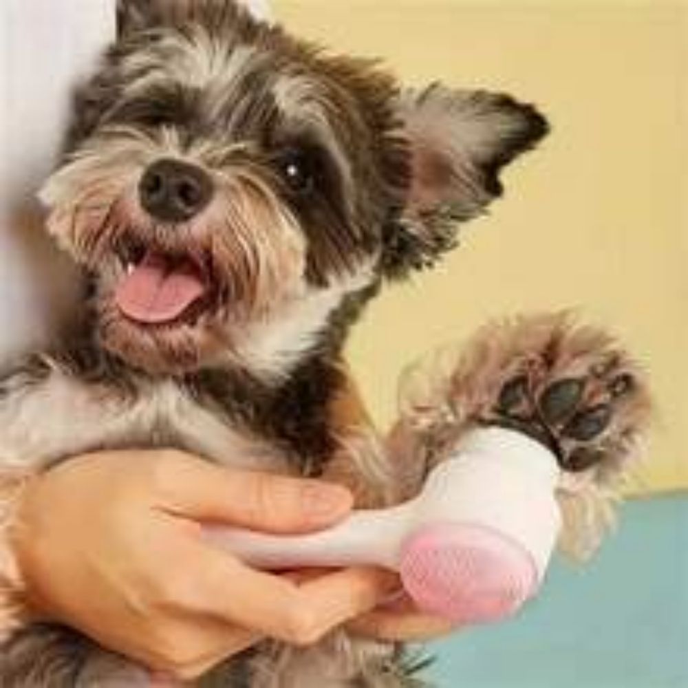 Easy Clean Nylon Paw Grooming Massage Pet Brush