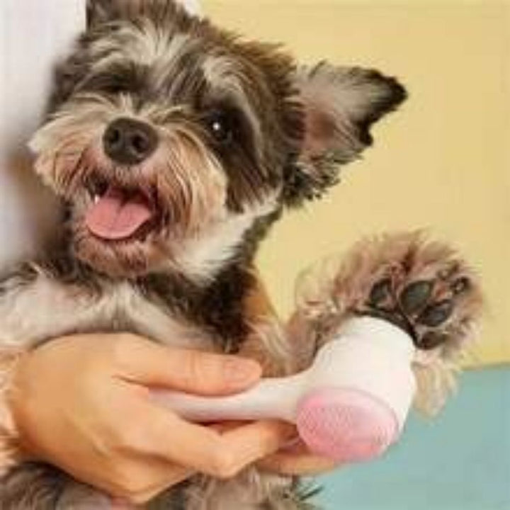 Easy Clean Nylon Paw Grooming Massage Pet Brush