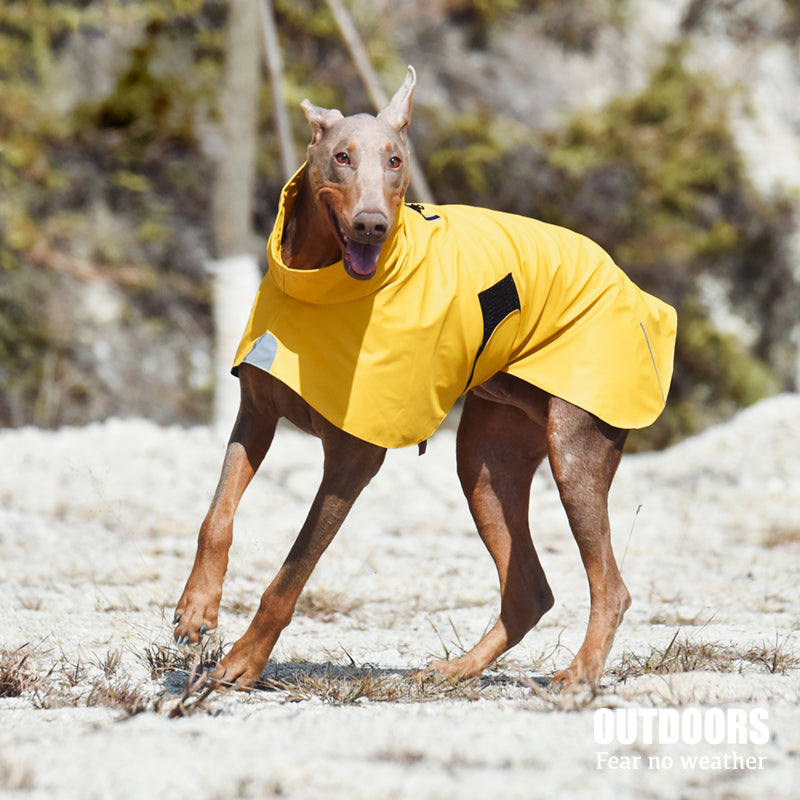 Waterproof Windproof Pet Raincoat Shell Jacket