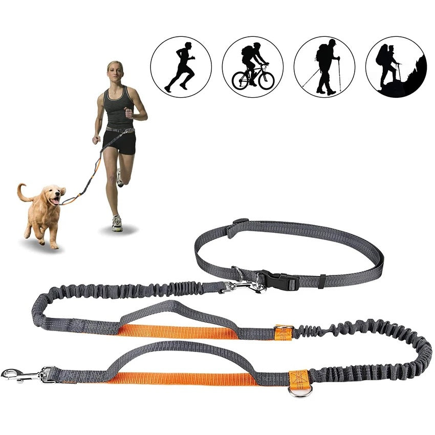 Adjustable Harness Collar Jogging Pet Walking Leash