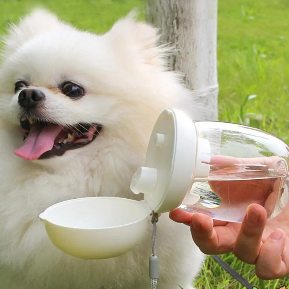 Portable Pet Water Bottle With Lanyard Travel Bowl