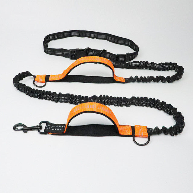 Adjustable Harness Collar Jogging Pet Walking Leash