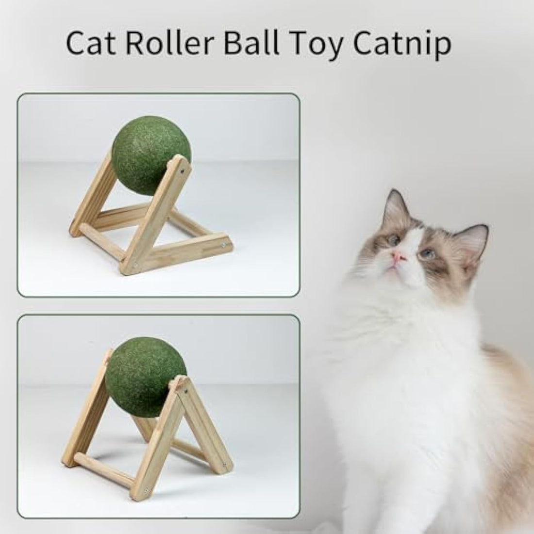 Natural Pet Catnip Balls With Holder Interactive Toy